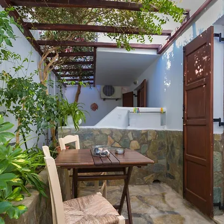 Irene Parou Apartment Naousa (Paros)