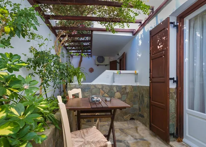 Irene Parou 公寓 纳乌萨